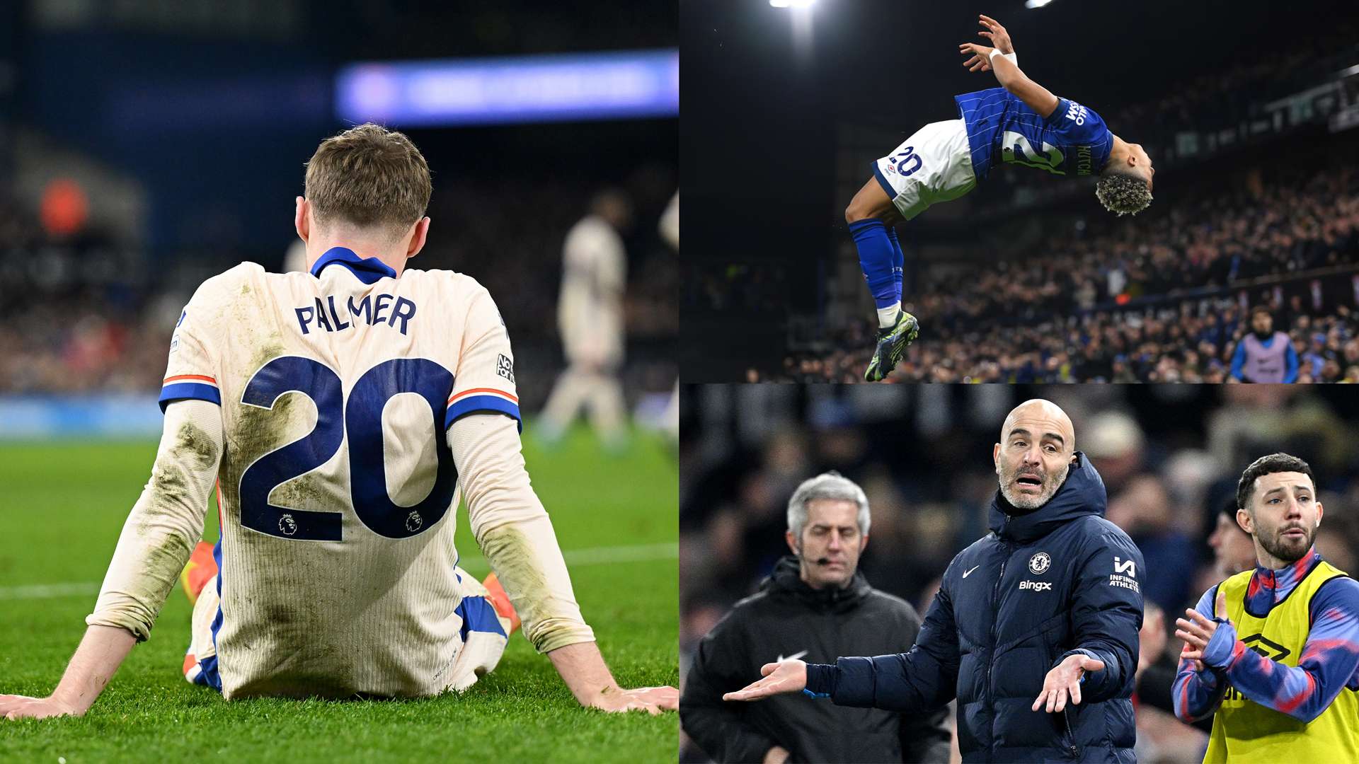 社交媒体上 社交媒体上