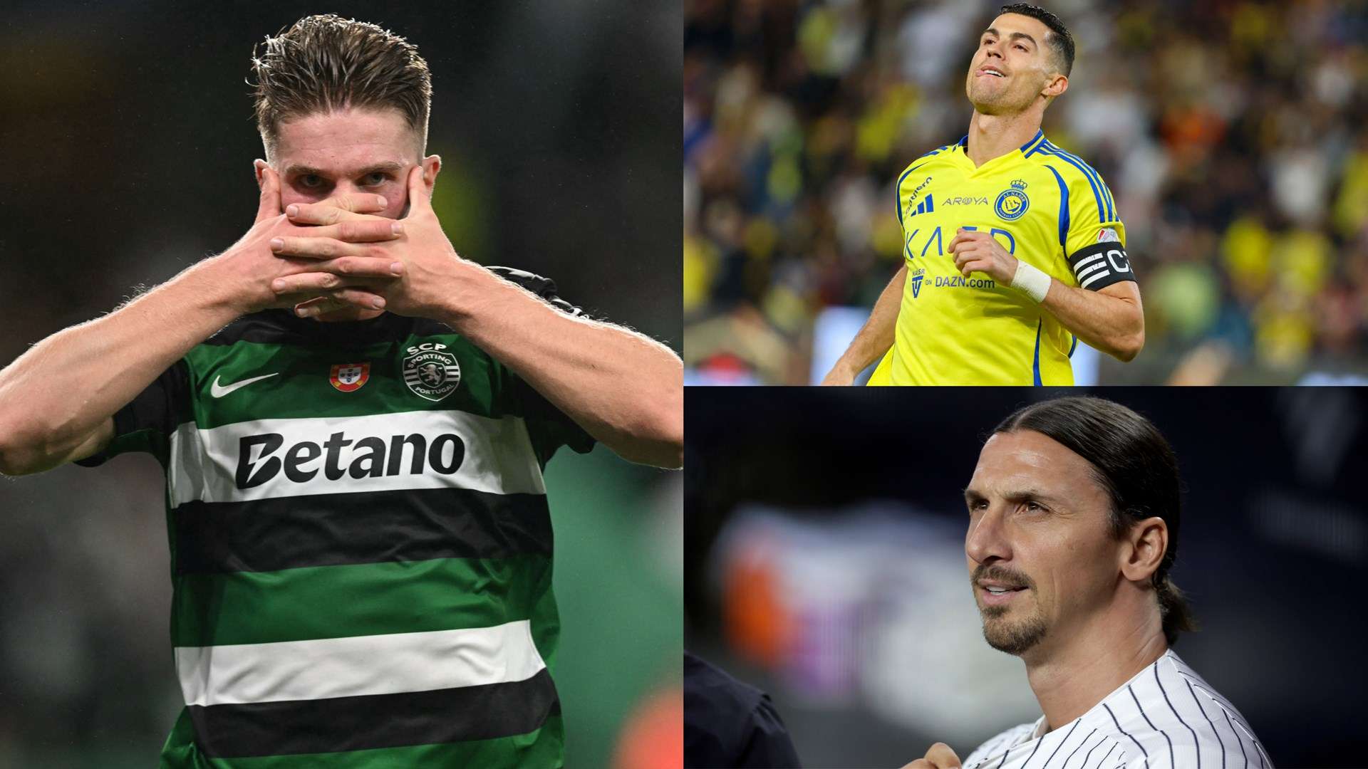 多变和具有 多变和具有